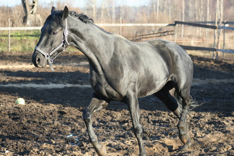 IMG_1283.jpg1.jpg"%20height="533"%20width="800